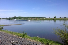 Die Elbe