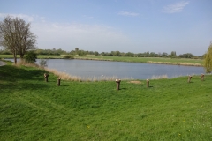 Fischteich